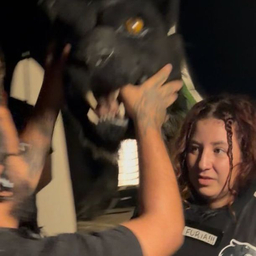 SPORT CLUB FOGUETA PAULISTA